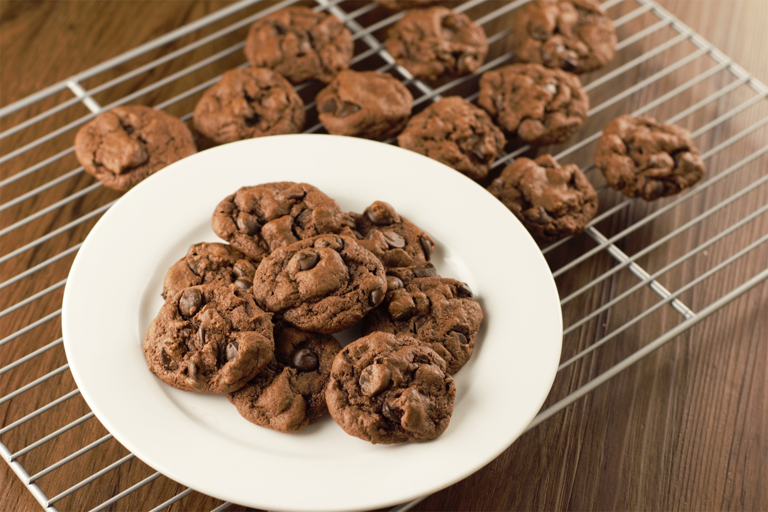 Chocolate Chip Fudge Cookies – Mountain Cravings