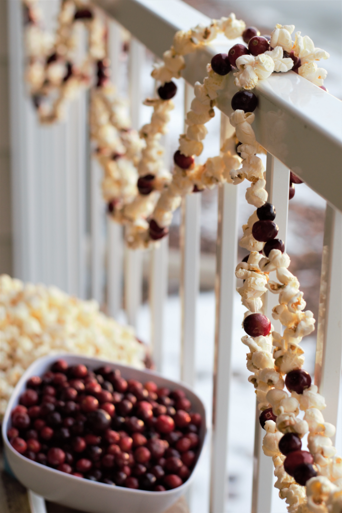 How To String Cranberries (DIY Cranberry Garland) - A Storied Style