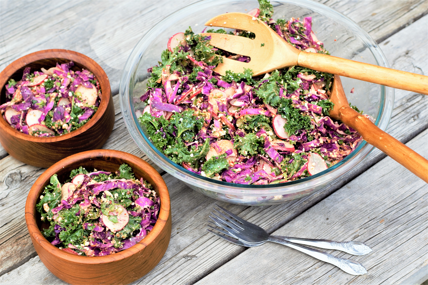 This kale slaw salad stays crunchy hours after adding dressing, perfect for picnicking! Kale & red cabbage pair with spicy radish & mexican-ish dressing.
