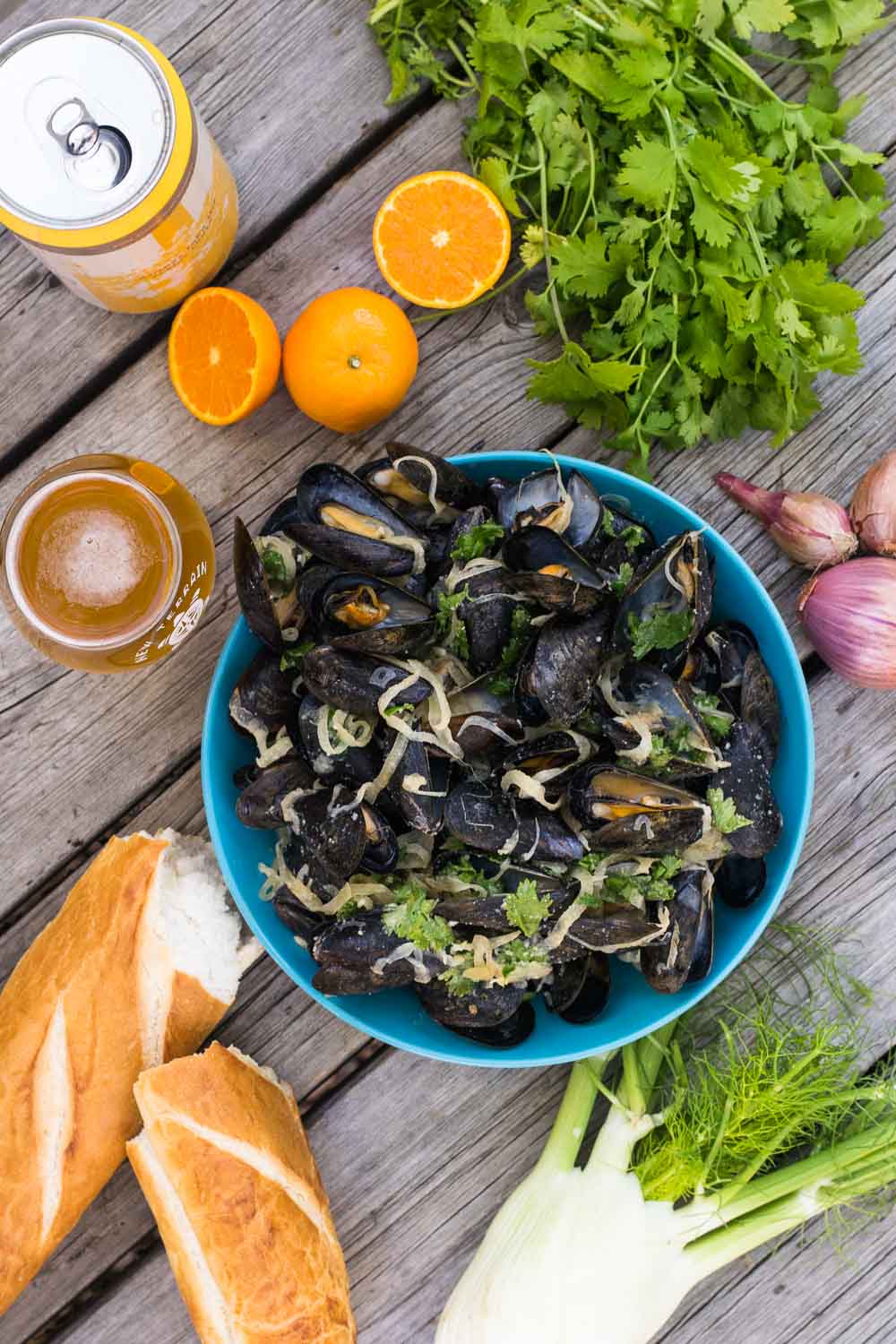 Celebrating Great American Beer Festival with craft beer recipes from Golden, Colorado! New Terrain's Suntrip makes the perfect broth for mussels, fennel, & shallots.